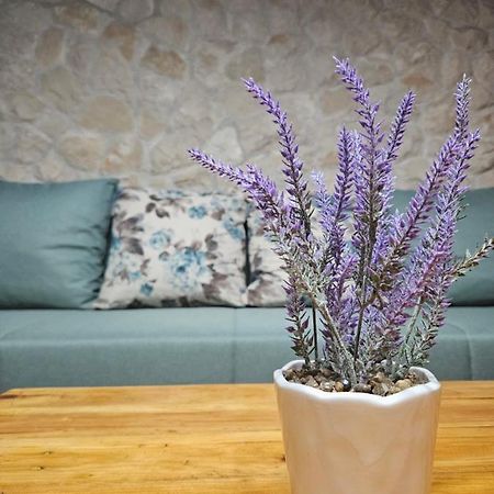 Dalmatia Rustica Comfortable One Bedroom+Fireplace Zadar Dış mekan fotoğraf