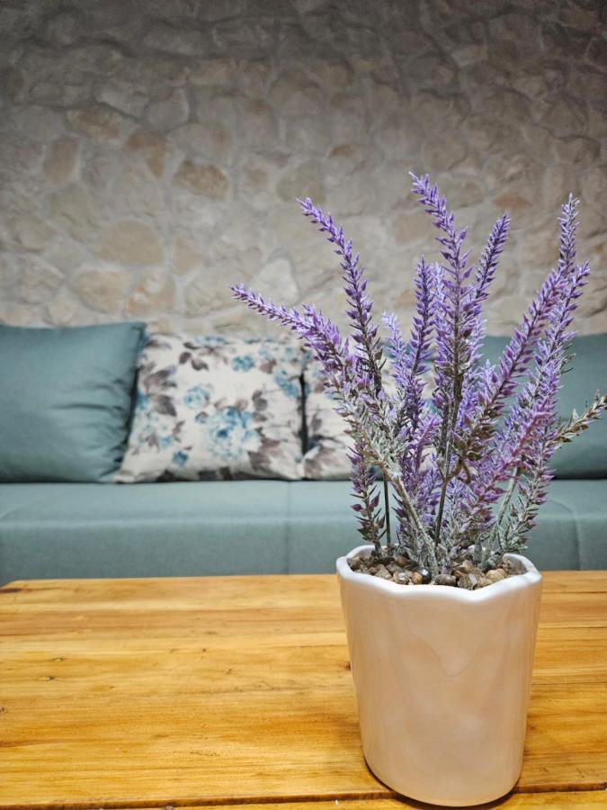 Dalmatia Rustica Comfortable One Bedroom+Fireplace Zadar Dış mekan fotoğraf